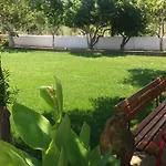 Galini *